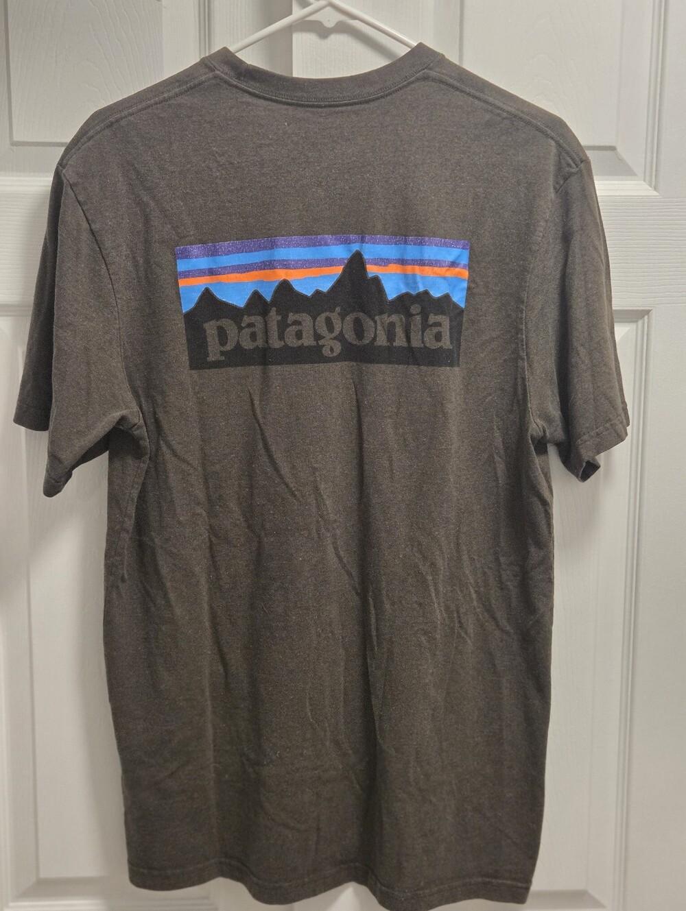 Patagonia Tee - Medium (Brownish/Green)
